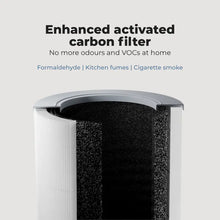 Load image into Gallery viewer, Sterra Paws™ True HEPA-14 Pet Air Purifier
