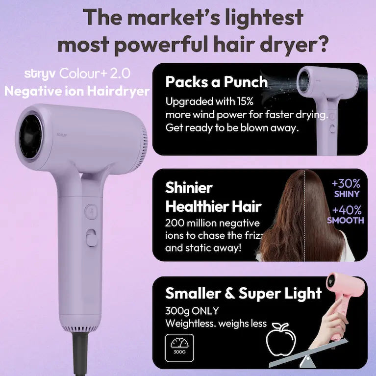 Macaron Lavender Set