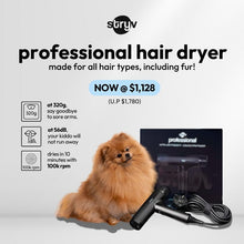 Load image into Gallery viewer, HU600 salon-grade professional hair dryer forpets
