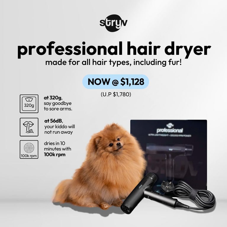 HU600 salon-grade professional hair dryer forpets