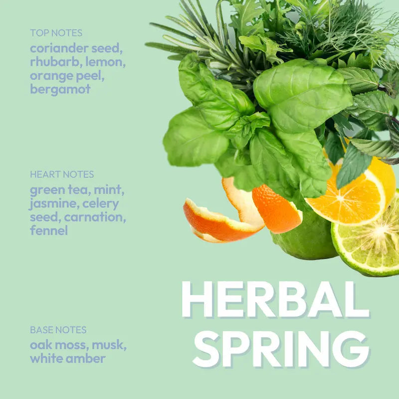 Scalp Hero Rebalancing Conditioner