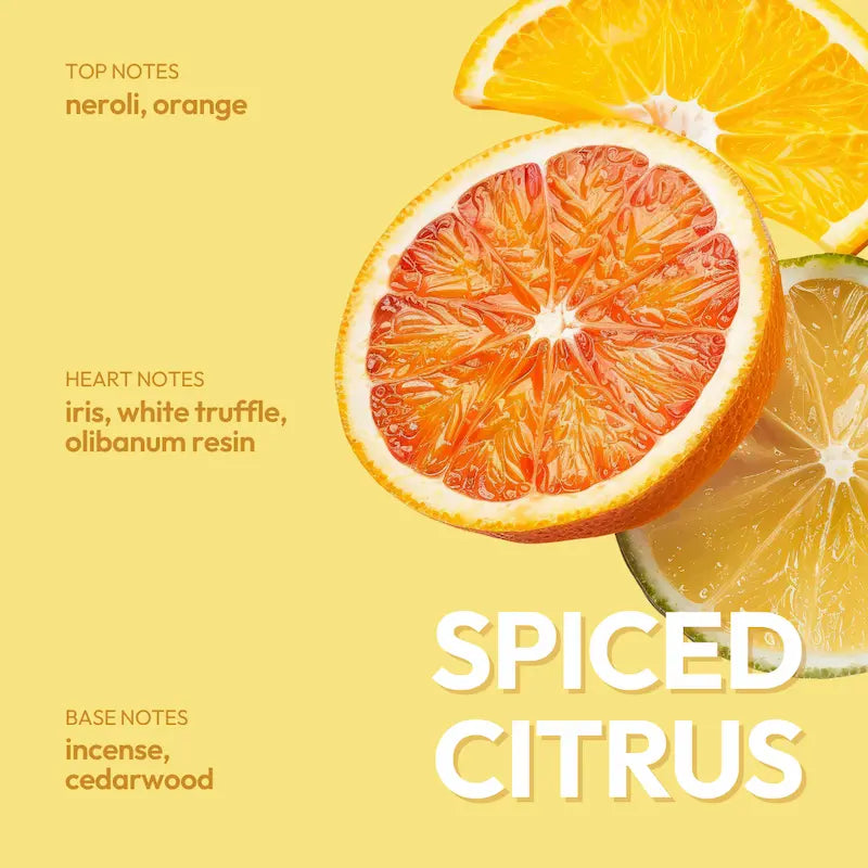 Rinse and Shine Nourishing Conditioner